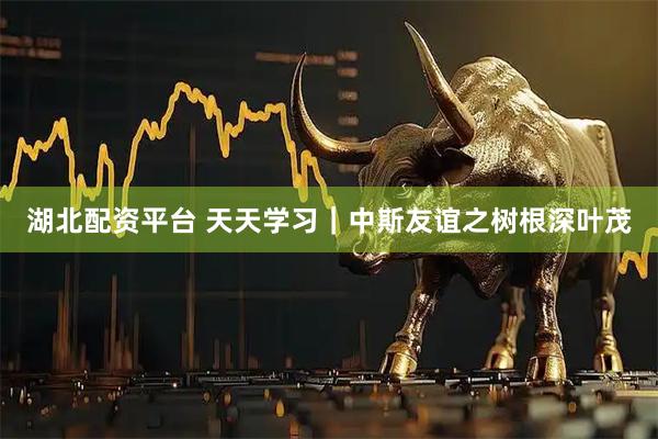 湖北配资平台 天天学习｜中斯友谊之树根深叶茂